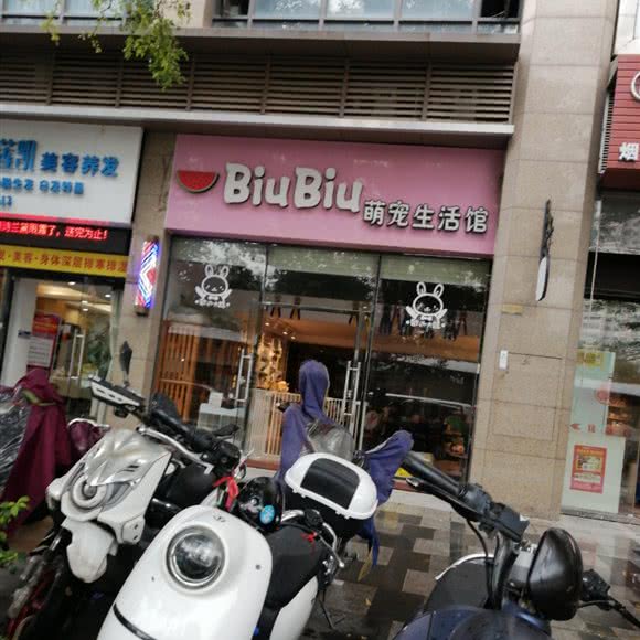 BiuBiu萌宠生活馆:南宁市江南区