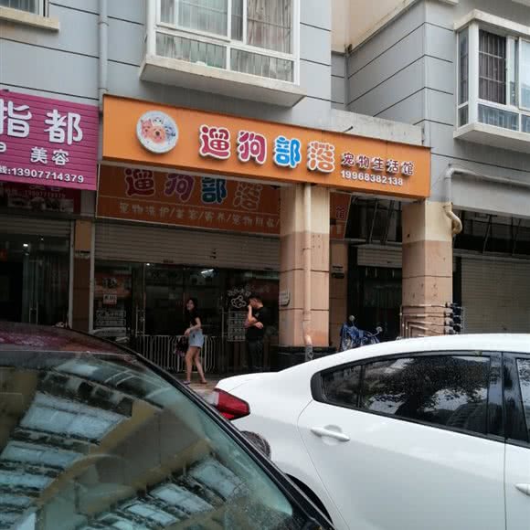 遛狗部落宠物生活馆:南宁市江南区