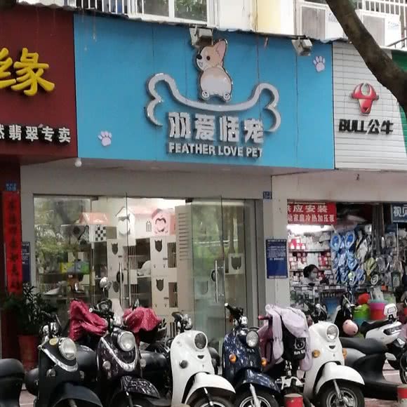 羽爱恬宠:南宁市江南区