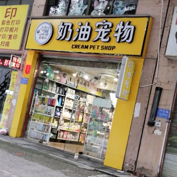奶油宠物:南宁市江南区