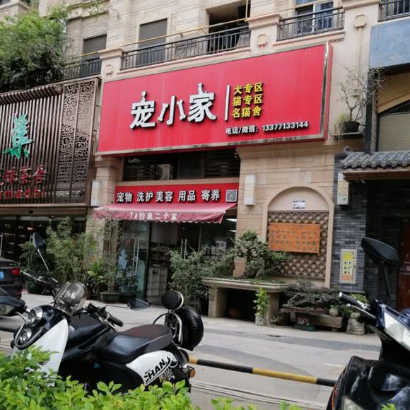 宠小家:南宁市江南区