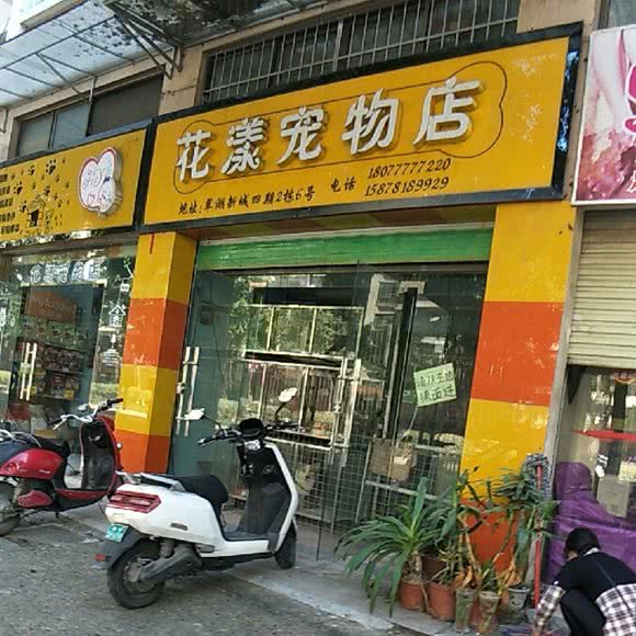 花漾宠物店宠物用品超市:南宁市江南区
