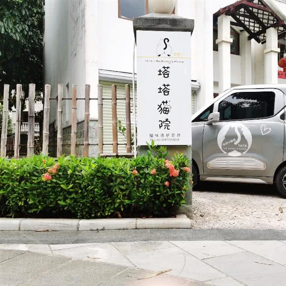 塔塔猫院小猫洗护寄养:南宁市江南区
