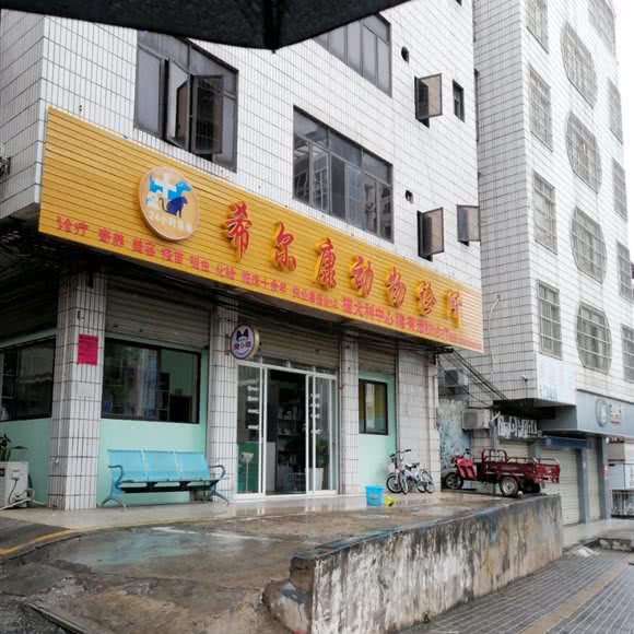 巴德康动物诊所:南宁市江南区