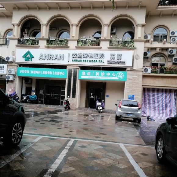 安然宠物医院:南宁市江南区