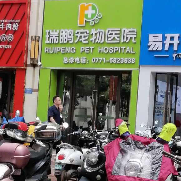 瑞鹏宠物医院:南宁市江南区