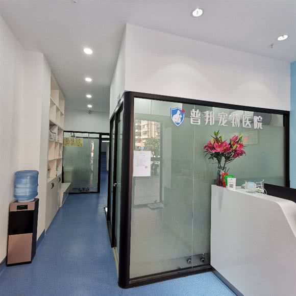 普邦宠物医院:南宁市江南区