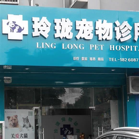 玲珑宠物诊所:南宁市江南区
