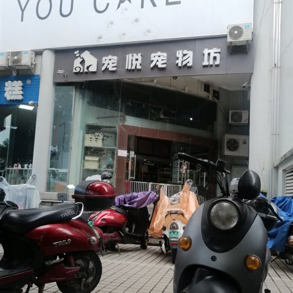 宠悦狗狗坊:南宁市西乡塘区