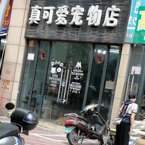 真可爱宠物店:南宁市西乡塘区