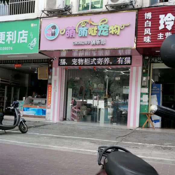 萌萌哒宠物:南宁市西乡塘区