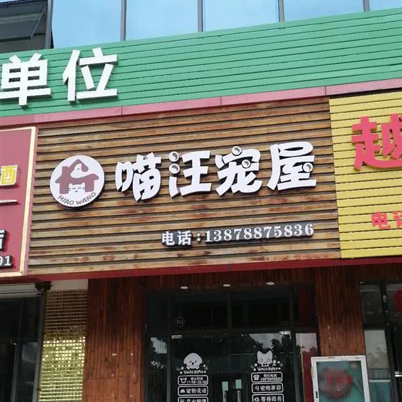 喵汪宠屋:南宁市西乡塘区