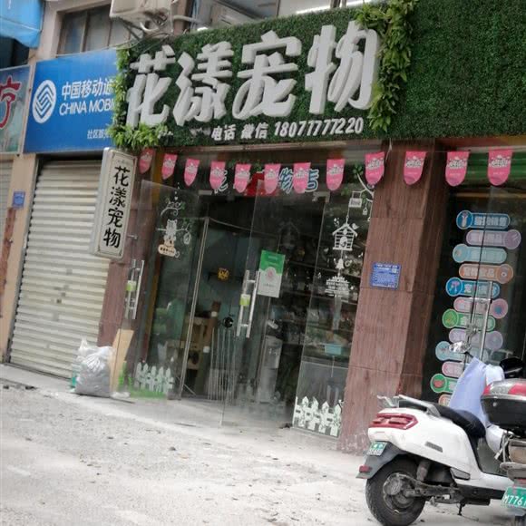 花漾宠物:南宁市西乡塘区