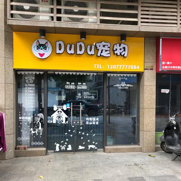DuDu宠物:南宁市西乡塘区