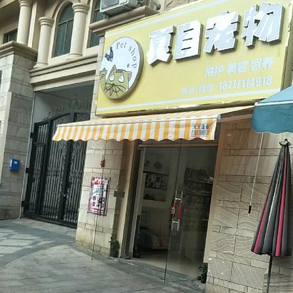 夏目宠物:南宁市西乡塘区