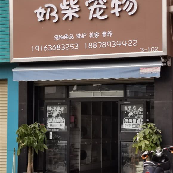 奶柴宠物:南宁市西乡塘区