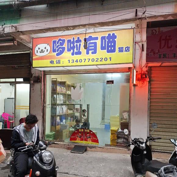 哆啦有喵猫店:南宁市西乡塘区
