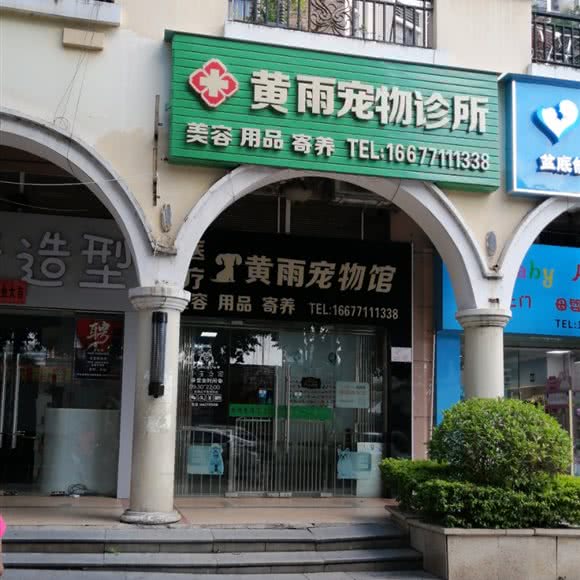 黄雨宠物诊所:南宁市西乡塘区