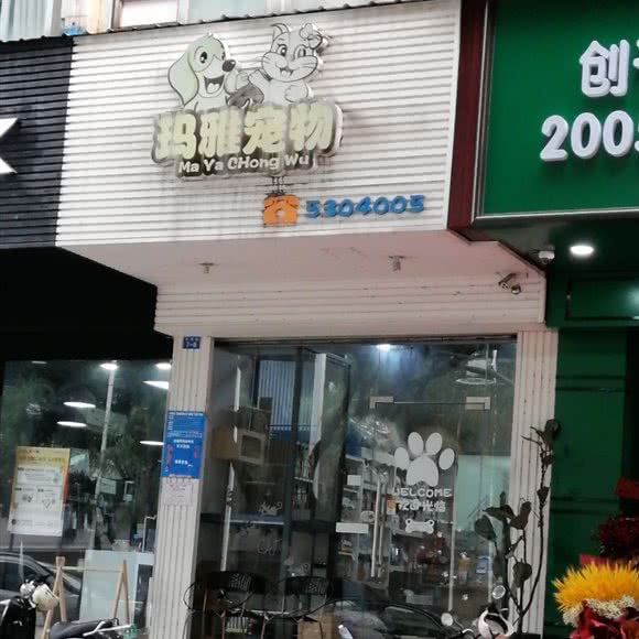 玛雅宠物:南宁市良庆区