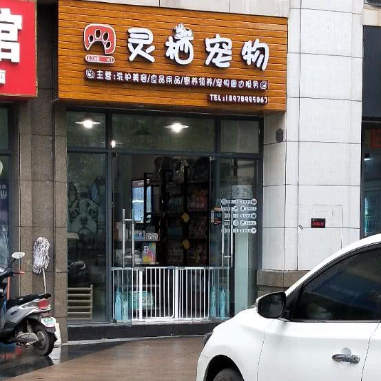 灵栖宠物:南宁市良庆区