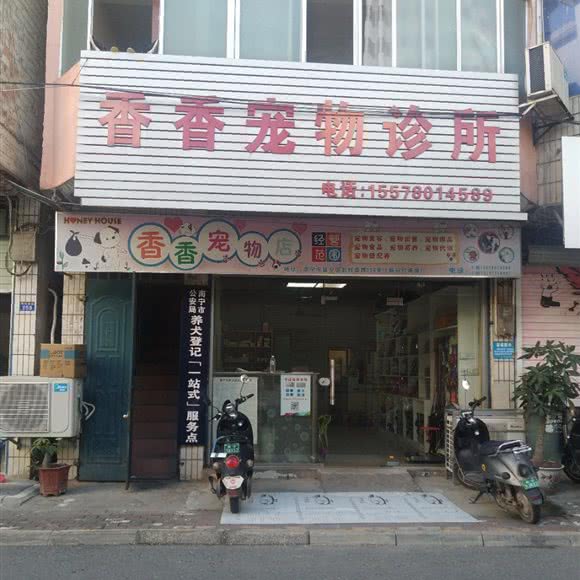 香香宠物诊所:南宁市邕宁区