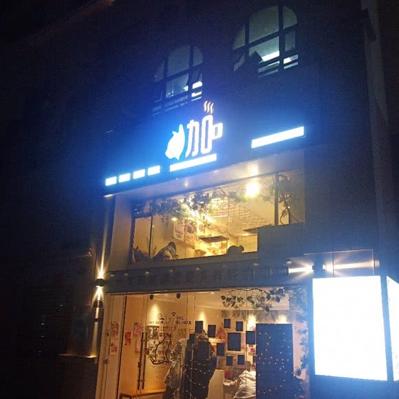 猫咪生活体验馆:南宁市武鸣区