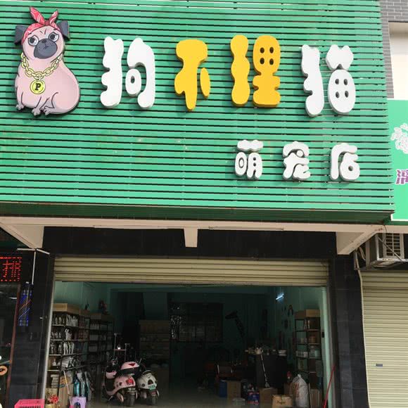 狗不理猫(萌宠店):南宁市武鸣区