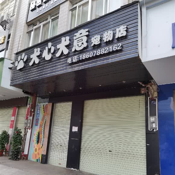 犬心犬意宠物店:南宁市武鸣区