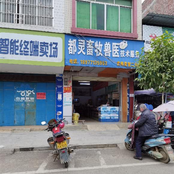 都灵畜牧兽医技术服务(武鸣灵智二分店):南宁市武鸣区