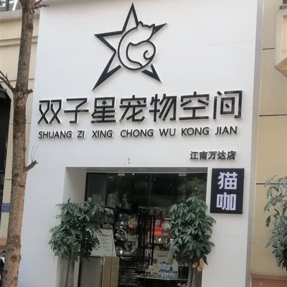 双子星宠物空间:南宁市隆安县