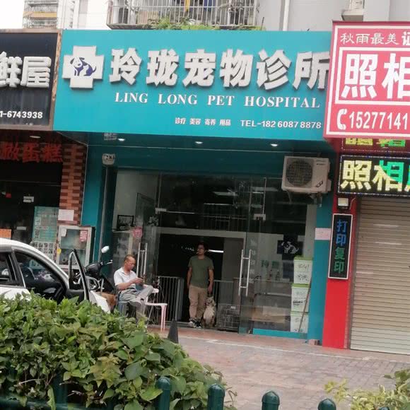 玲珑宠物诊所:南宁市隆安县