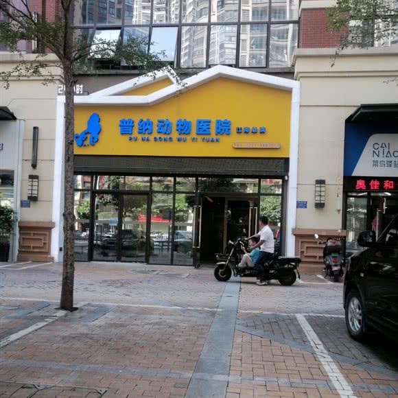 普纳动物医院:南宁市隆安县