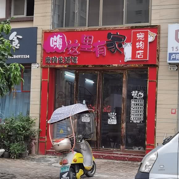嗨这里有家宠物店:南宁市上林县