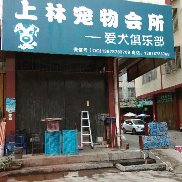 上林宠物会所:南宁市上林县