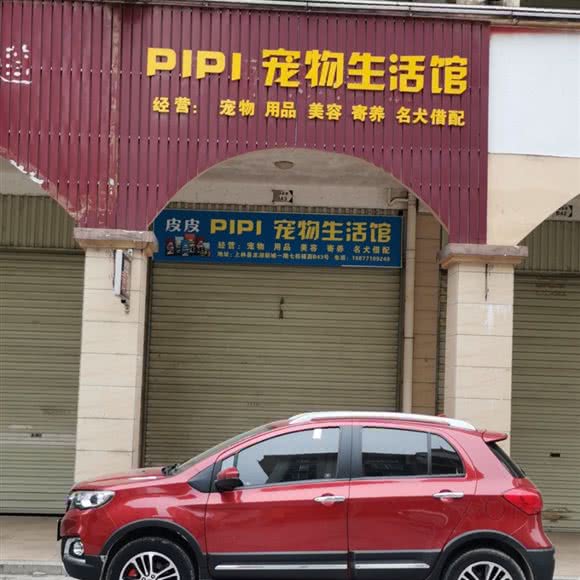 皮皮PIPI宠物生活馆:南宁市上林县