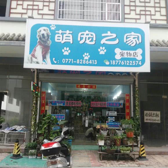 萌宠之家:南宁市宾阳县
