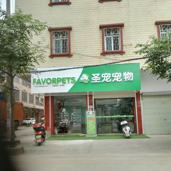 圣宠宠物(黎塘店):南宁市宾阳县