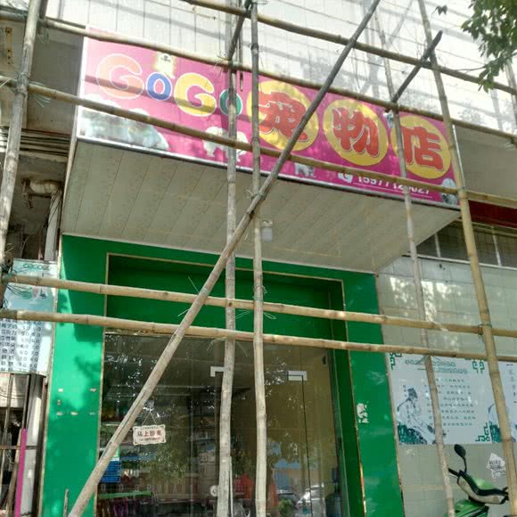 GoGo宠物店:南宁市宾阳县