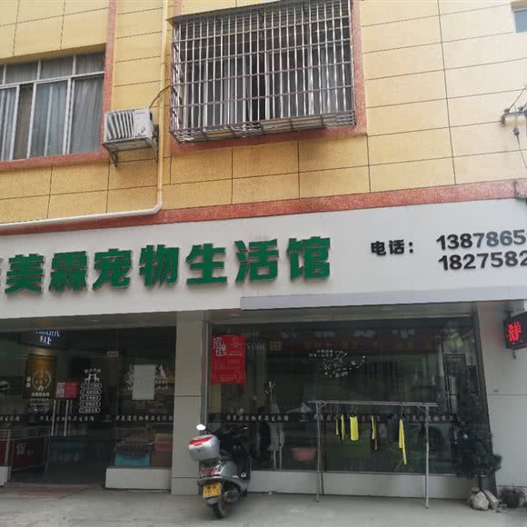 华美霖宠物生活馆:南宁市宾阳县