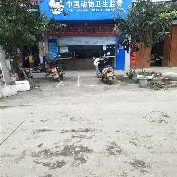 宾阳县王灵动物检疫申报点:南宁市宾阳县
