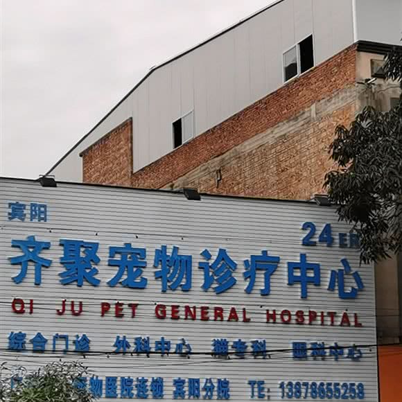 齐聚宠物诊疗中心(宾阳分院):南宁市宾阳县