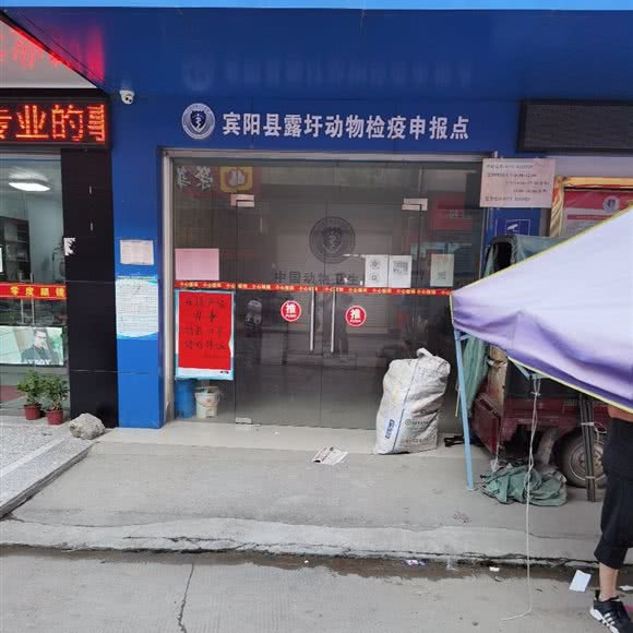 宾阳县露圩动物检疫申报点:南宁市宾阳县
