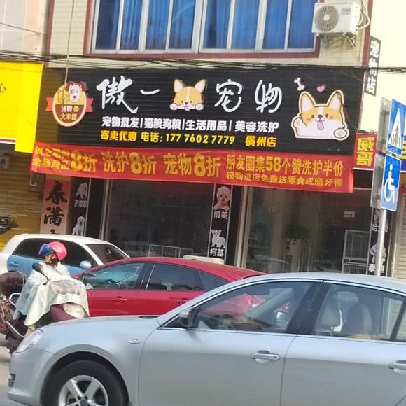 傲一宠物:南宁市横州市