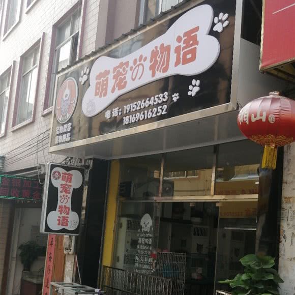 萌宠物语:南宁市横州市