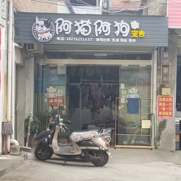 阿猫阿狗宠舍:南宁市横州市