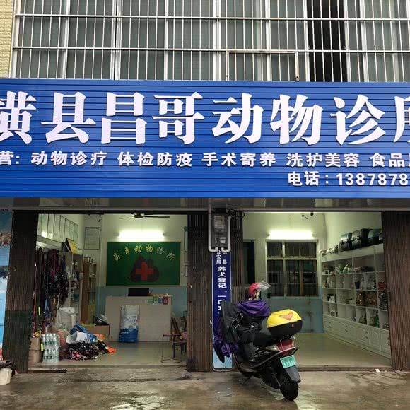 横县昌哥动物诊所:南宁市横州市
