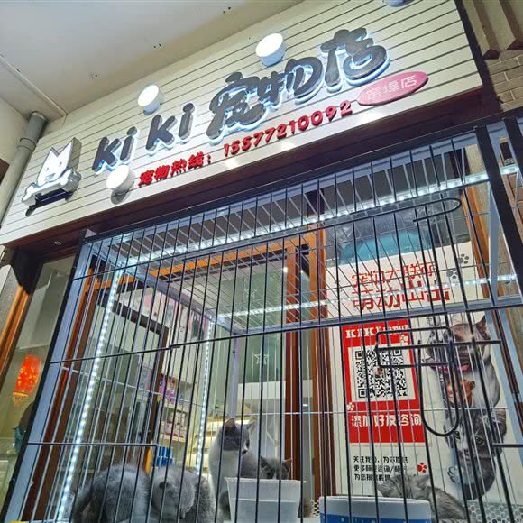 KiKi宠物店(窑埠店):柳州市鱼峰区