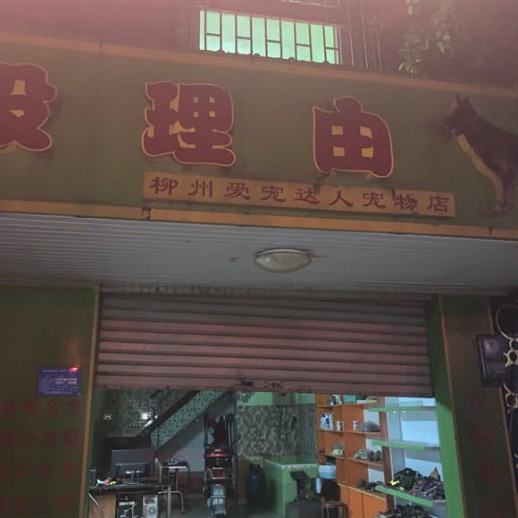 柳州爱宠达人宠物店(白云总店):柳州市鱼峰区