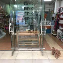 犬艺门宠物会所:柳州市鱼峰区
