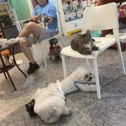 茗宠狗狗沙龙:沈阳市沈河区小河沿附近